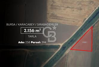CB AMBIANCE'DAN KARACABEY/SIRABADEMLER'DE 2.156 m² TARLA - 2 - 367522