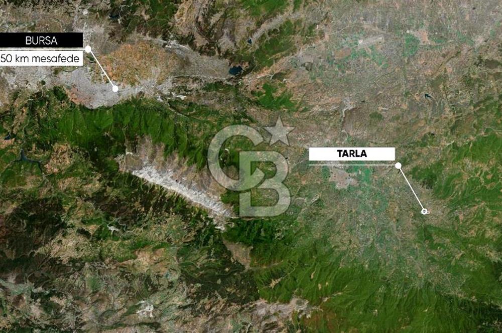 CB AMBIANCE'DAN İNEGÖL/KURŞUNLU'DA 1.869 m² TARLA
