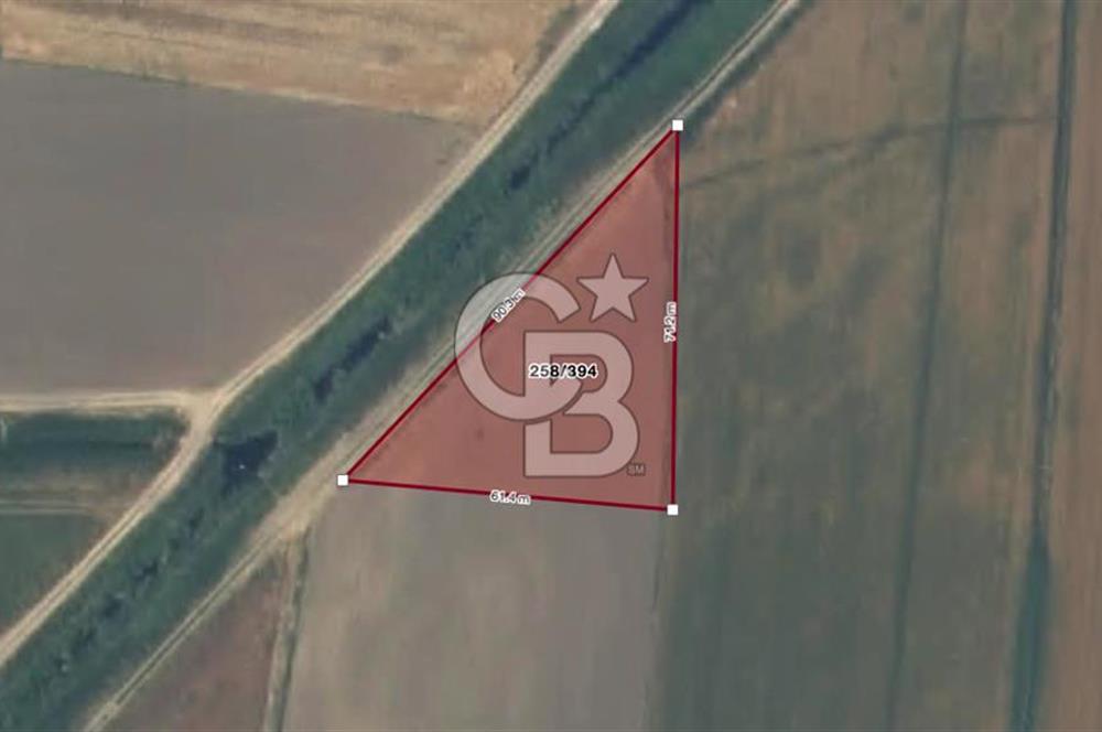 CB AMBIANCE'DAN KARACABEY/SIRABADEMLER'DE 2.156 m² TARLA