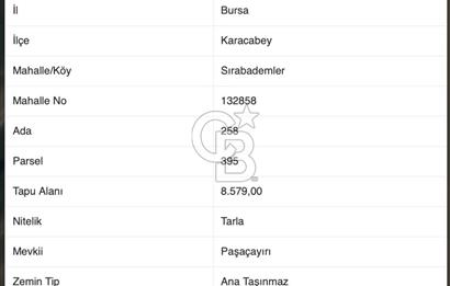 CB AMBIANCE'DAN KARACABEY/SIRABADEMLER'DE 8.579 m² TARLA