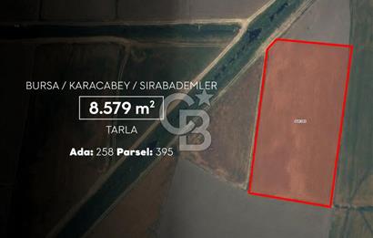 CB AMBIANCE'DAN KARACABEY/SIRABADEMLER'DE 8.579 m² TARLA