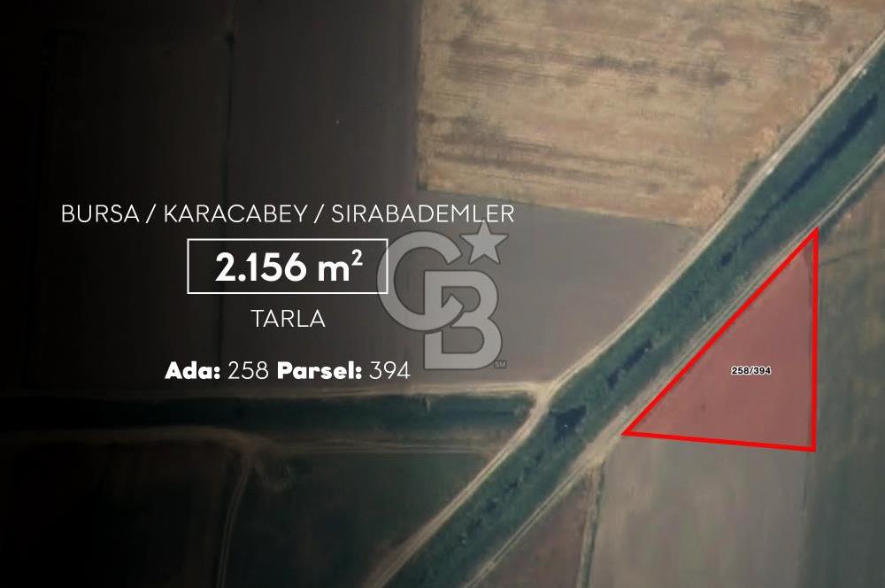 CB AMBIANCE'DAN KARACABEY/SIRABADEMLER'DE 2.156 m² TARLA