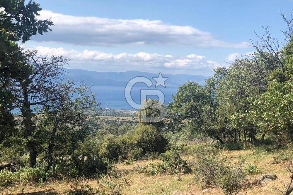 Panoramik Deniz & Midilli Adası Manzaralı Yatırımlık Arazi 9264