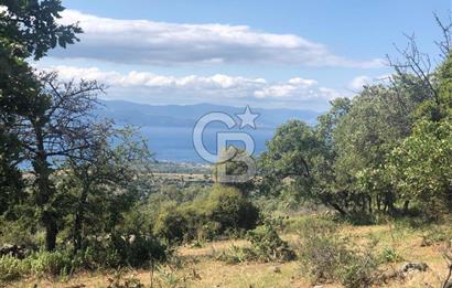 Panoramik Deniz & Midilli Adası Manzaralı Yatırımlık Arazi 9264