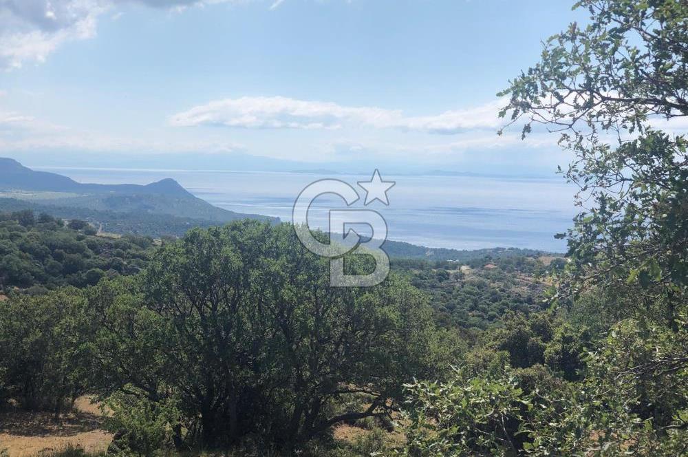 Panoramik Deniz & Midilli Adası Manzaralı Yatırımlık Arazi 9264