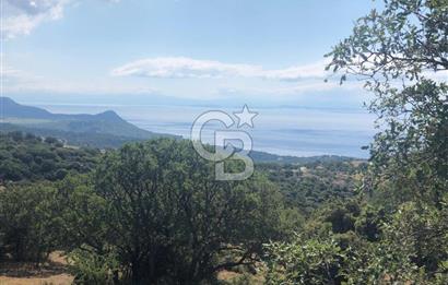 Panoramik Deniz & Midilli Adası Manzaralı Yatırımlık Arazi 9264