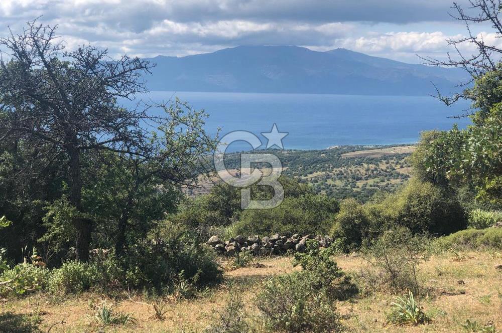 Panoramik Deniz & Midilli Adası Manzaralı Yatırımlık Arazi 9264