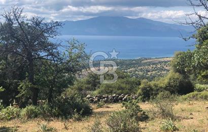 Panoramik Deniz & Midilli Adası Manzaralı Yatırımlık Arazi 9264