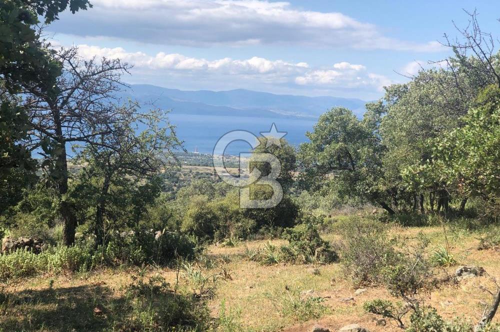Panoramik Deniz & Midilli Adası Manzaralı Yatırımlık Arazi 9264