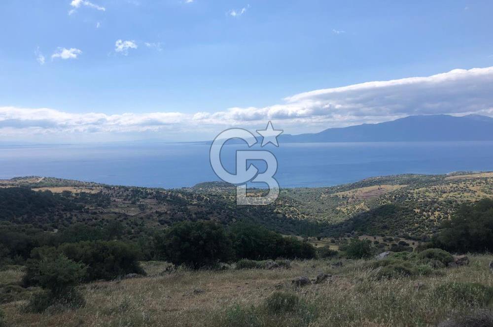 Panoramik Deniz & Midilli Adası Manzaralı Yatırımlık Arazi 9264