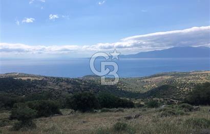 Panoramik Deniz & Midilli Adası Manzaralı Yatırımlık Arazi 9264