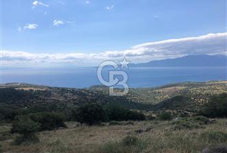 Panoramik Deniz & Midilli Adası Manzaralı Yatırımlık Arazi 9264 - 8 - 367574