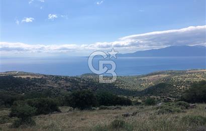 Panoramik Deniz & Midilli Adası Manzaralı Yatırımlık Arazi 9264