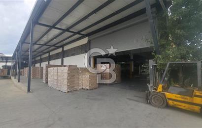 KURTKÖY SANAYİ MAHALLESİNDE KİRALIK FABRİKA & DEPO