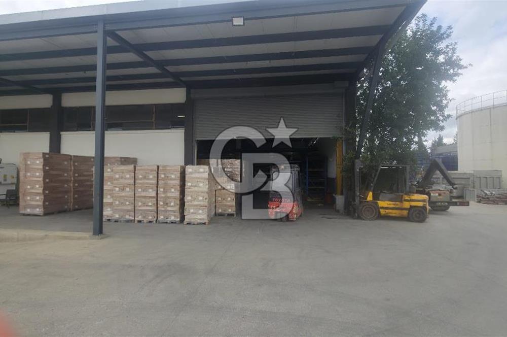 KURTKÖY SANAYİ MAHALLESİNDE KİRALIK FABRİKA & DEPO