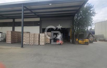 KURTKÖY SANAYİ MAHALLESİNDE KİRALIK FABRİKA & DEPO