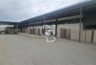 KURTKÖY SANAYİ MAHALLESİNDE KİRALIK FABRİKA & DEPO - 5 - 367577