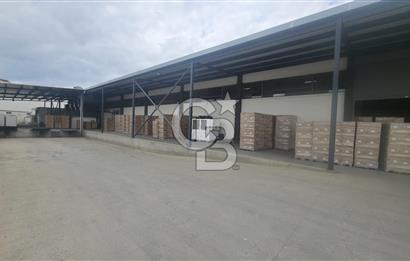 KURTKÖY SANAYİ MAHALLESİNDE KİRALIK FABRİKA & DEPO