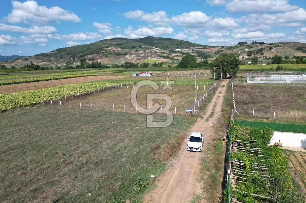 Körfez Cuma Köyünde Uygun Fiyatlı Satılık 1694m² Müstakil Parsel