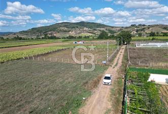 Körfez Cuma Köyünde Uygun Fiyatlı Satılık 1694m² Müstakil Parsel - 6 - 367634