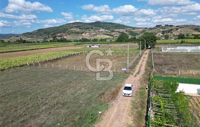 Körfez Cuma Köyünde Uygun Fiyatlı Satılık 1694m² Müstakil Parsel