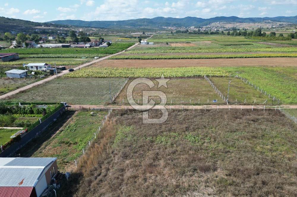 Körfez Cuma Köyünde Uygun Fiyatlı Satılık 1694m² Müstakil Parsel
