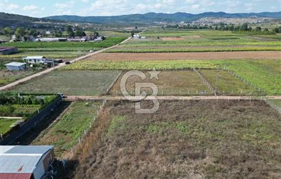 Körfez Cuma Köyünde Uygun Fiyatlı Satılık 1694m² Müstakil Parsel