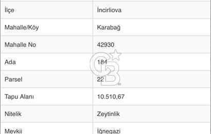 Aydın İncirliova Karabağ Mahallesinde 10.510 m2 Satılık Tar