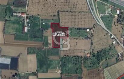 Aydın İncirliova Karabağ Mahallesinde 10.510 m2 Satılık Tar