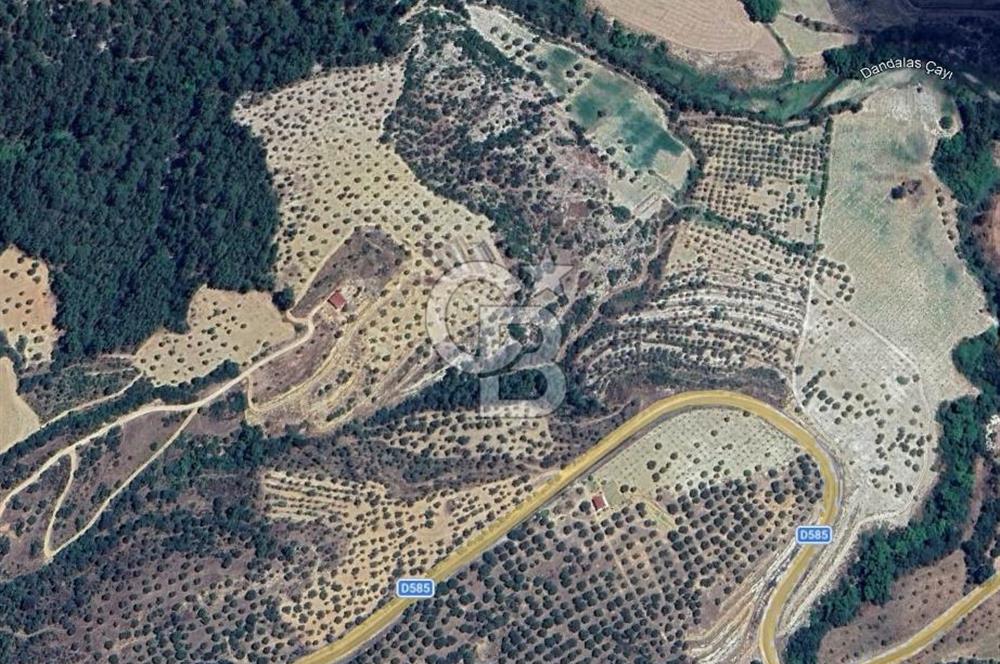 Aydın Karacasu'da Verimli Topraklara Sahip Satılık Tarla