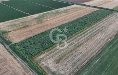 Çanakkale Ezine Mahmudiye Satılık 8.692 M² Tarla!