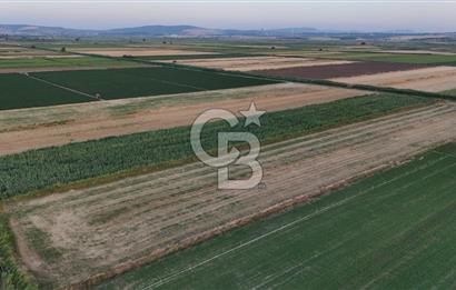 Çanakkale Ezine Mahmudiye Satılık 8.692 M² Tarla!
