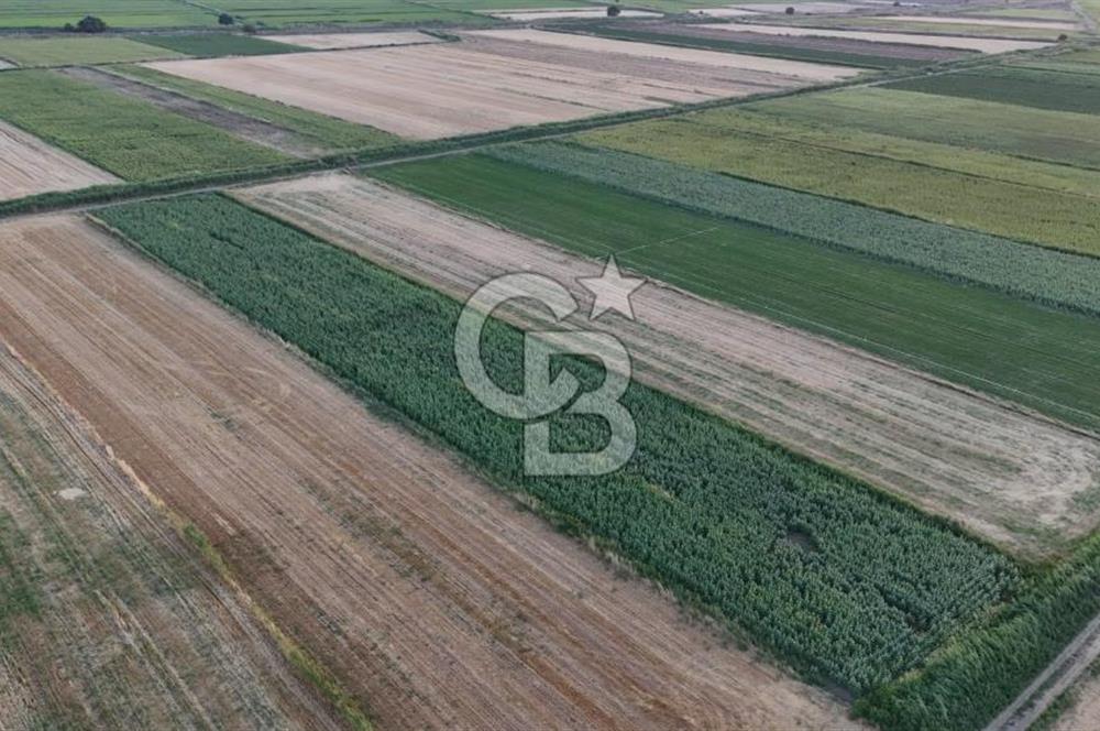 Çanakkale Ezine Mahmudiye Satılık 8.692 M² Tarla!