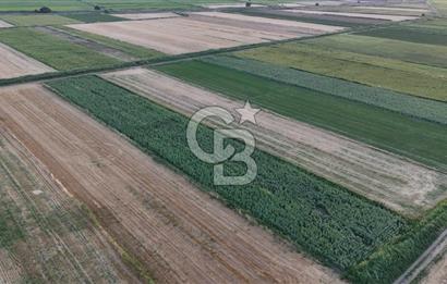 Çanakkale Ezine Mahmudiye Satılık 8.692 M² Tarla!