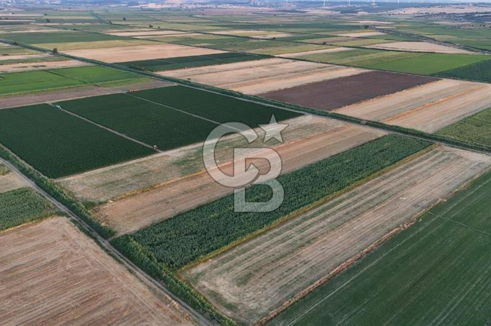 Çanakkale Ezine Mahmudiye Satılık 8.692 M² Tarla!