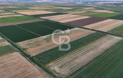 Çanakkale Ezine Mahmudiye Satılık 8.692 M² Tarla!