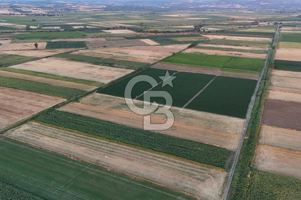 Çanakkale Ezine Mahmudiye Satılık 8.692 M² Tarla!