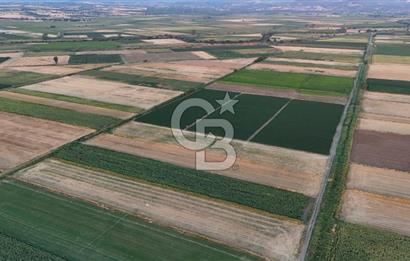 Çanakkale Ezine Mahmudiye Satılık 8.692 M² Tarla!
