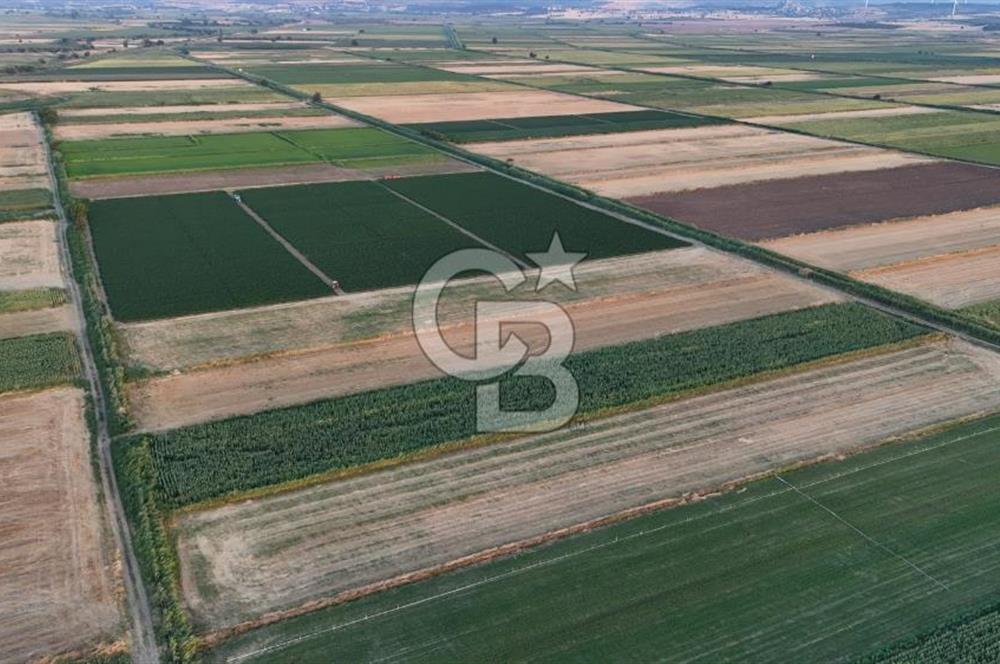 Çanakkale Ezine Mahmudiye Satılık 8.692 M² Tarla!