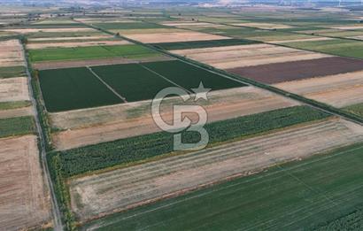 Çanakkale Ezine Mahmudiye Satılık 8.692 M² Tarla!