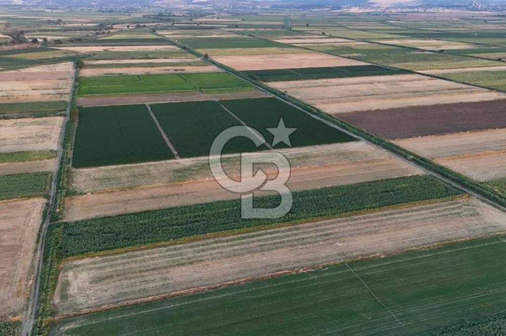 Çanakkale Ezine Mahmudiye Satılık 8.692 M² Tarla!