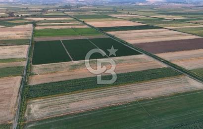 Çanakkale Ezine Mahmudiye Satılık 8.692 M² Tarla!