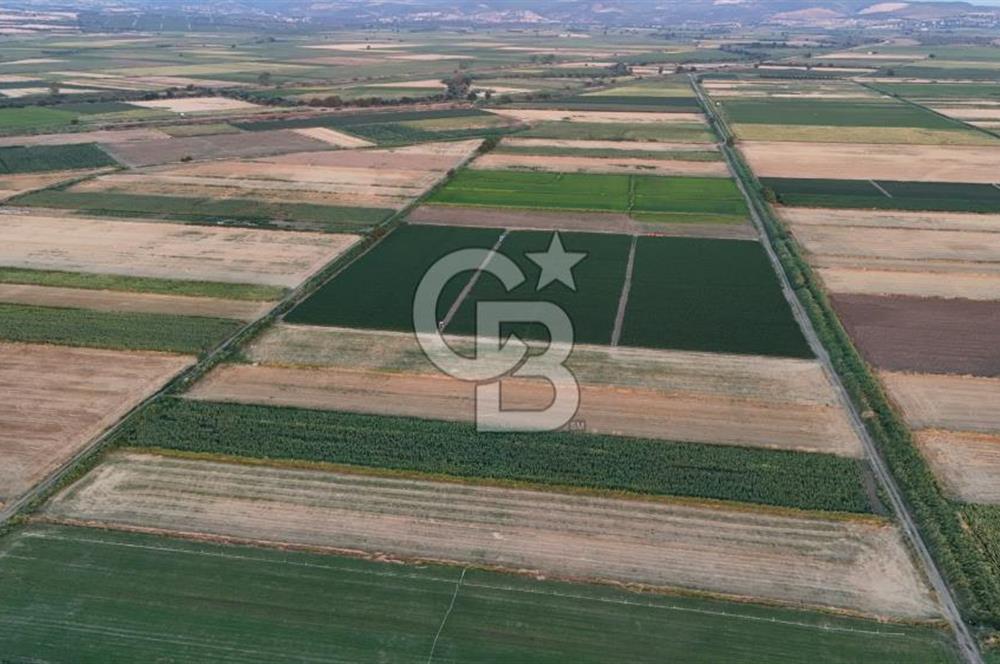 Çanakkale Ezine Mahmudiye Satılık 8.692 M² Tarla!