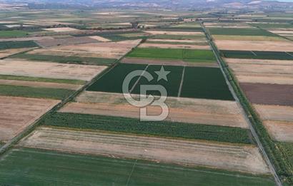 Çanakkale Ezine Mahmudiye Satılık 8.692 M² Tarla!