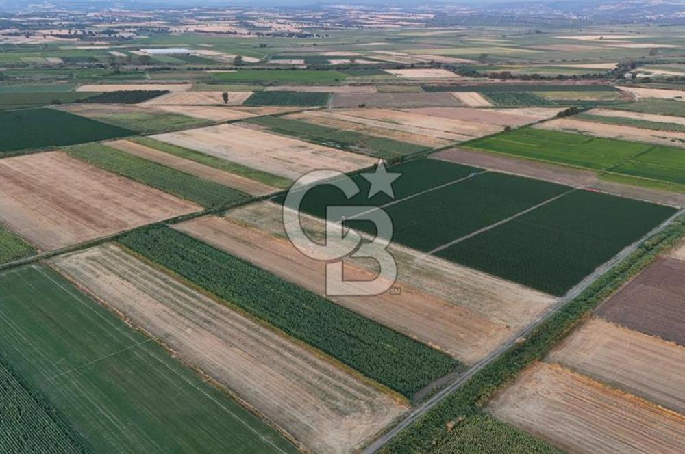 Çanakkale Ezine Mahmudiye Satılık 8.692 M² Tarla!