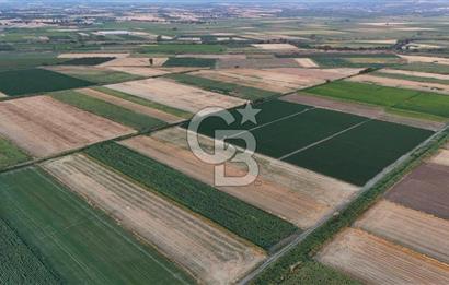 Çanakkale Ezine Mahmudiye Satılık 8.692 M² Tarla!