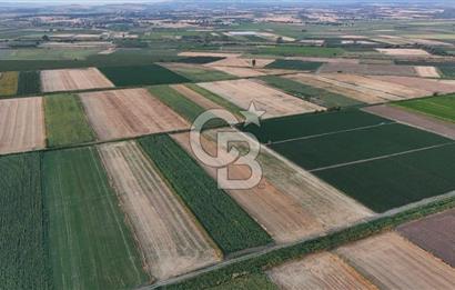 Çanakkale Ezine Mahmudiye Satılık 8.692 M² Tarla!