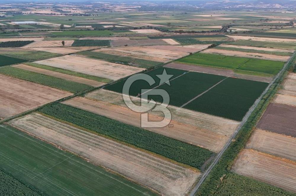 Çanakkale Ezine Mahmudiye Satılık 8.692 M² Tarla!