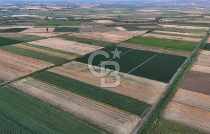 Çanakkale Ezine Mahmudiye Satılık 8.692 M² Tarla!