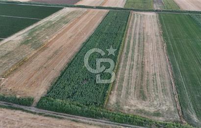 Çanakkale Ezine Mahmudiye Satılık 8.692 M² Tarla!